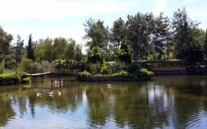 marmaris-sakligol