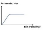 mineral-miktari