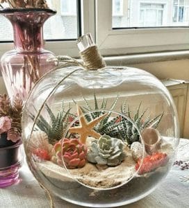 Terrarium