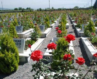 İstatistiksel Verilere Göre Öldürme Olasılığı Yüksek Olan Sebepler