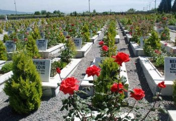 İstatistiksel Verilere Göre Öldürme Olasılığı Yüksek Olan Sebepler