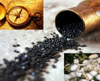 Çin Medeniyetinin, Dünya’yı Değiştiren En Önemli Buluşları