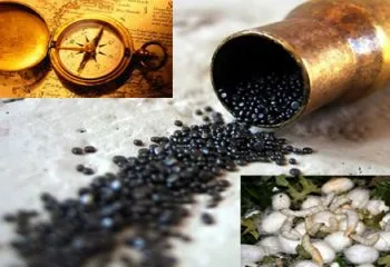 Çin Medeniyetinin, Dünya’yı Değiştiren En Önemli Buluşları