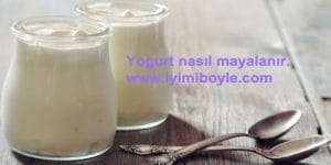 Yoğurt Nasıl Mayalanır