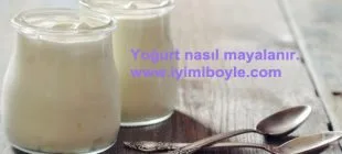 Yoğurt Nasıl Mayalanır
