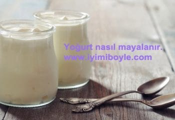 Yoğurt Nasıl Mayalanır