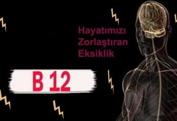 B12 Vitaminin Önemi Nedir