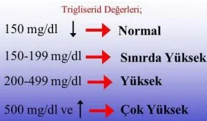 trigliserid-degeri