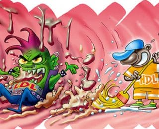 Ldl Nedir ve Neden Yükselir