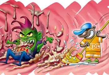 Ldl Nedir ve Neden Yükselir