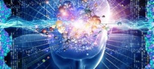 Mutluluk Hormonu Serotonin Nedir