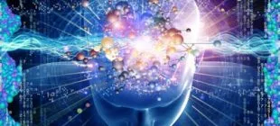 Mutluluk Hormonu Serotonin Nedir