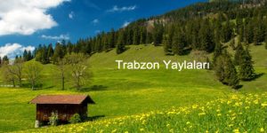 Trabzon’da Gezilecek Yerler