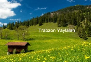 Trabzon’da Gezilecek Yerler