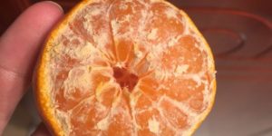 Portakalın Kaç Dilim Olduğu Soymadan Nasıl Anlaşılır