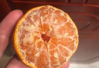 Portakalın Kaç Dilim Olduğu Soymadan Nasıl Anlaşılır