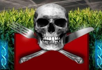 Kansere Neden Olan İlk 5 Gıda