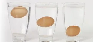 Yumurtanın Tazeliği Nasıl Anlaşılır