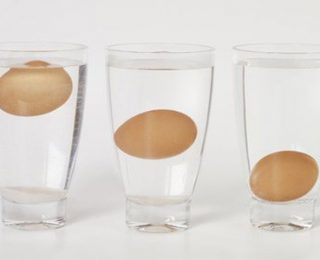 Yumurtanın Tazeliği Nasıl Anlaşılır