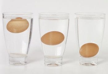 Yumurtanın Tazeliği Nasıl Anlaşılır