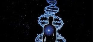 Mucizenin Adı DNA Hakkında Sizi Şaşırtacak 20 Enteresan Bilgi