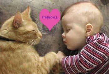 Kedi ve Köpeklerle Büyüyen Çocukların Daha Sağlıklı Olmasının 10 Bilimsel Kanıtı