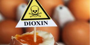 Dioksin Zehirlenmesi Nedir ve Dioksin İçeren Ürünler Nelerdir