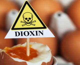 Dioksin Zehirlenmesi Nedir ve Dioksin İçeren Ürünler Nelerdir