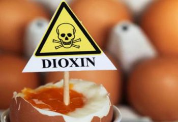 Dioksin Zehirlenmesi Nedir ve Dioksin İçeren Ürünler Nelerdir