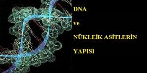DNA ve Genetik Kod