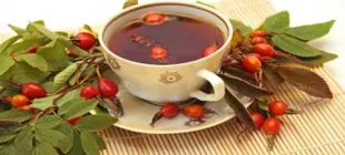 Kuşburnunun Faydaları