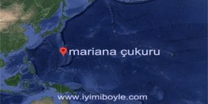Dünyanın En Derin Noktası Olan Mariana Çukuru Hakkında İlginç Bilgiler