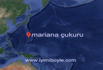 Dünyanın En Derin Noktası Olan Mariana Çukuru Hakkında İlginç Bilgiler