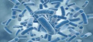 Probiyotik Nedir ve Faydaları Nelerdir