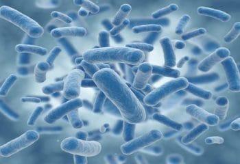 Probiyotik Nedir ve Faydaları Nelerdir