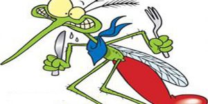Sivrisinekler Neden Hep Sizi Isırıyor