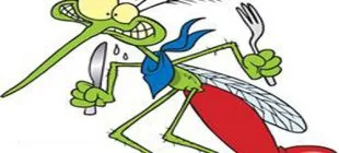 Sivrisinekler Neden Hep Sizi Isırıyor