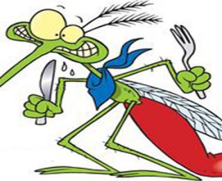 Sivrisinekler Neden Hep Sizi Isırıyor