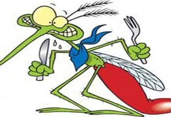 Sivrisinekler Neden Hep Sizi Isırıyor