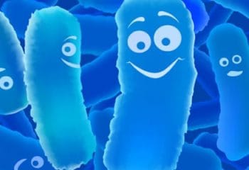 İnsan Sağlığının Dostları