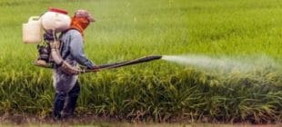 Meyve ve Sebze Yerken Zehir de Yemeyin