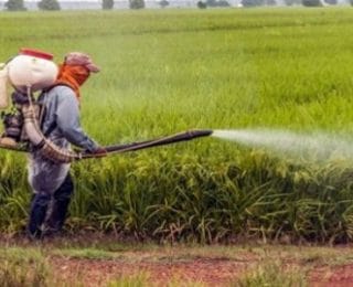 Meyve ve Sebze Yerken Zehir de Yemeyin