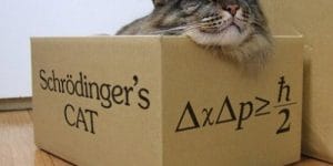 Schrödinger ‘in Kedisi Bize Ne Anlatıyor?