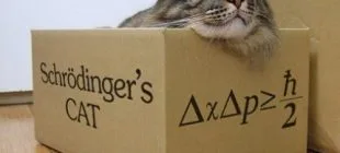 Schrödinger ‘in Kedisi Bize Ne Anlatıyor?