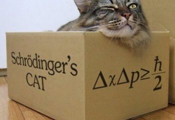 Schrödinger ‘in Kedisi Bize Ne Anlatıyor?