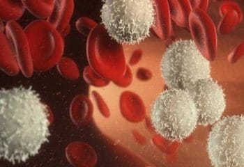 WBC Nedir ve Neden Yükselir