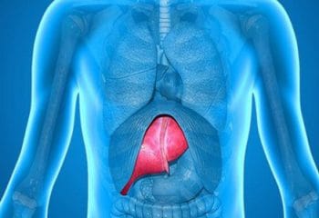 Karaciğere Zarar Veren Etkenler