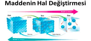 Hal Değişim Grafikleri