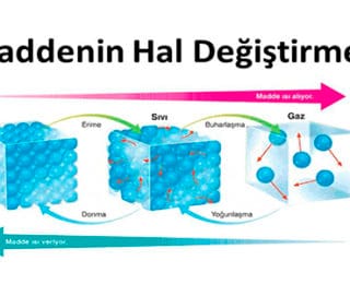 Hal Değişim Grafikleri