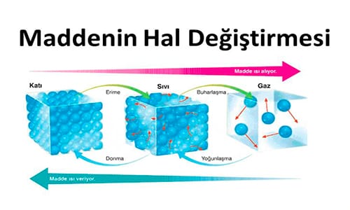Hal Değişim Grafikleri